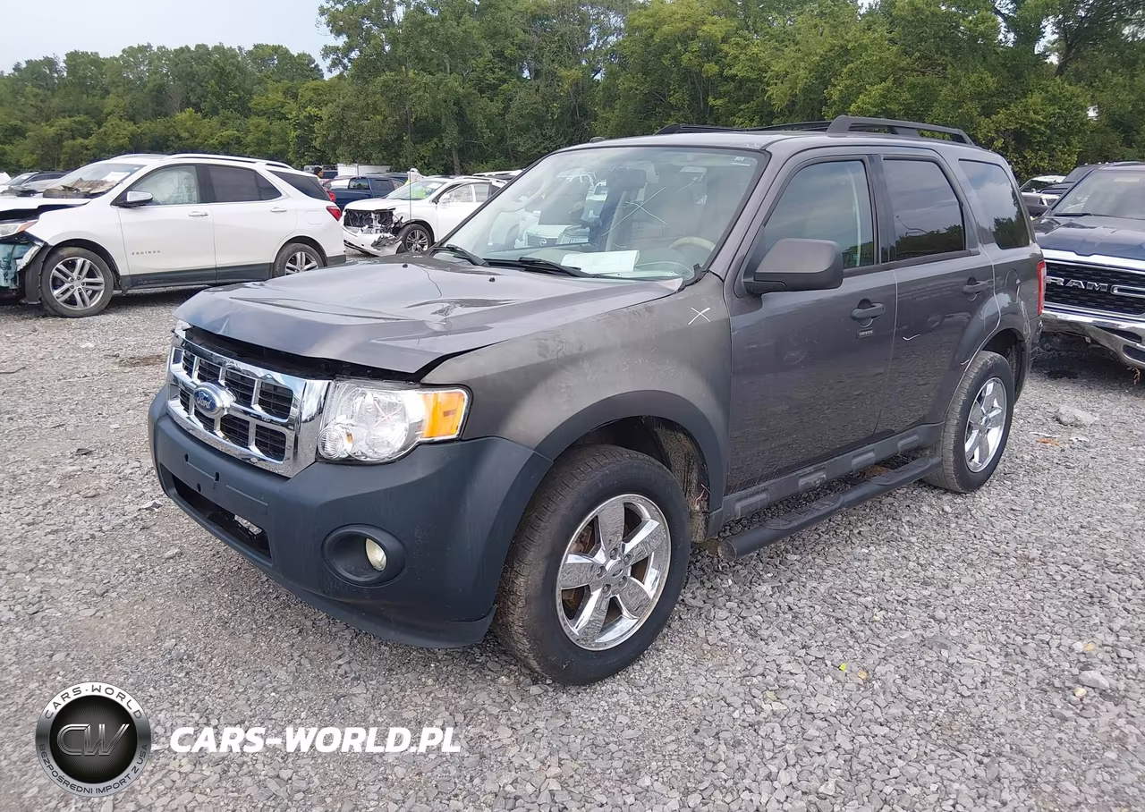 2011 Ford Escape Xlt VIN:1FMCU0D75BKA36682 - 2