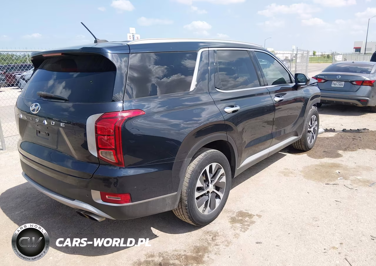2020 Hyundai Palisade Sel VIN:KM8R24HE0LU154239 - 4