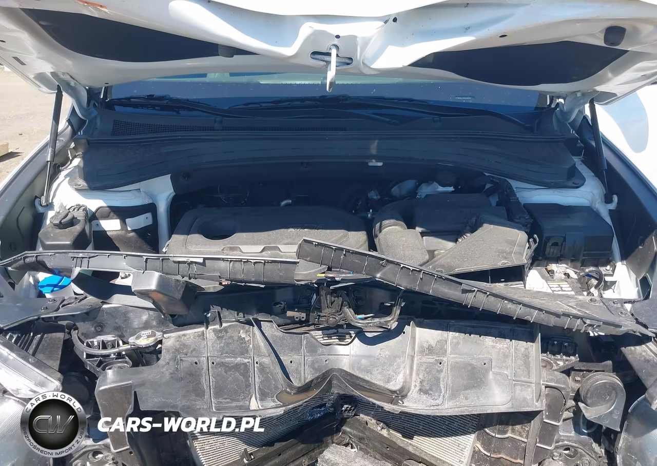2019 Hyundai Santa Fe Sel VIN:5NMS3CAD3KH009538 - 10