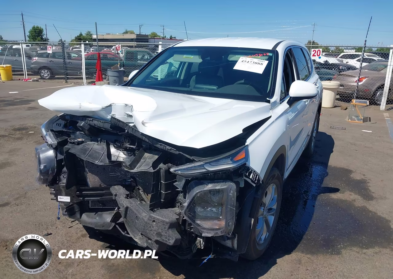 2019 Hyundai Santa Fe Sel VIN:5NMS3CAD3KH009538 - 2