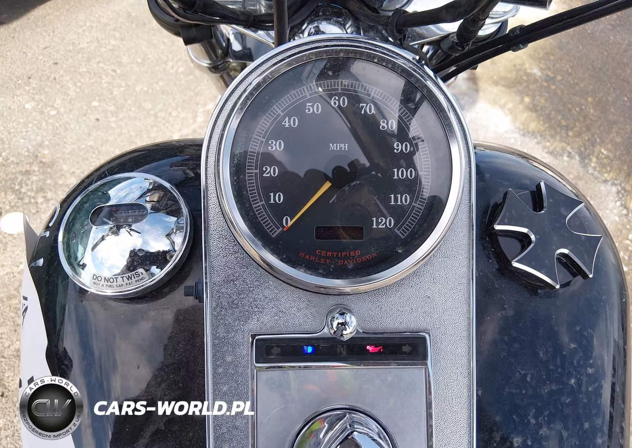 2001 Harley-Davidson Fxdwg VIN:1HD1GEV131Y319120 - 7