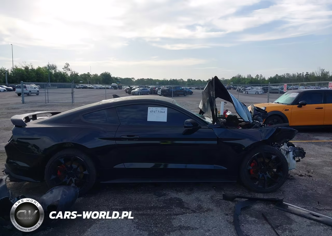 2021 Ford Mustang Ecoboost Fastback VIN:1FA6P8THXM5137550 - 13