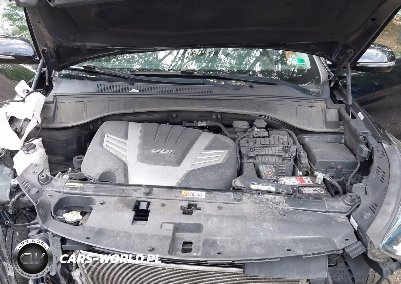 2019 Hyundai Santa Fe Xl Limited Ultimate VIN:KM8SR4HF1KU302693 - 10
