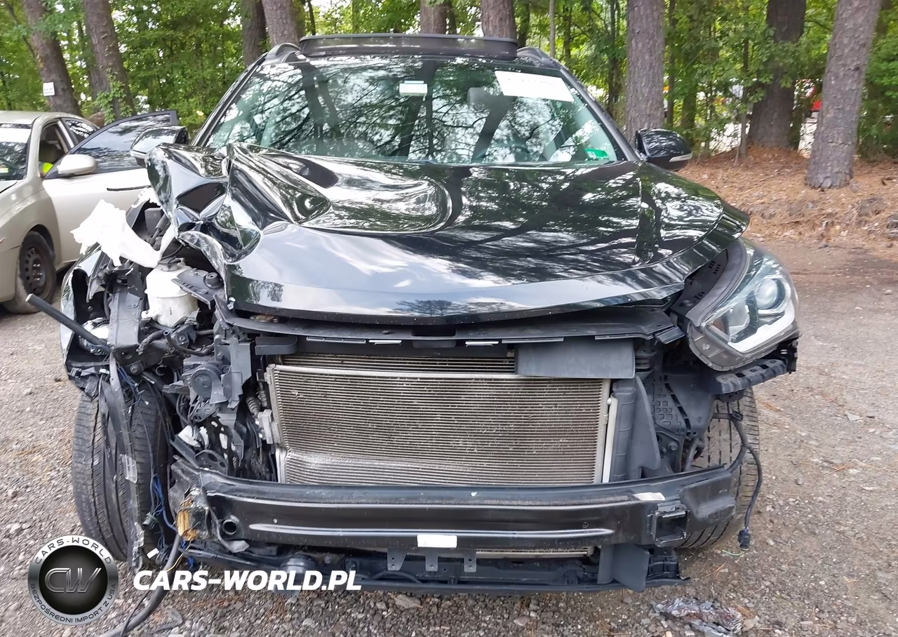 2019 Hyundai Santa Fe Xl Limited Ultimate VIN:KM8SR4HF1KU302693 - 13