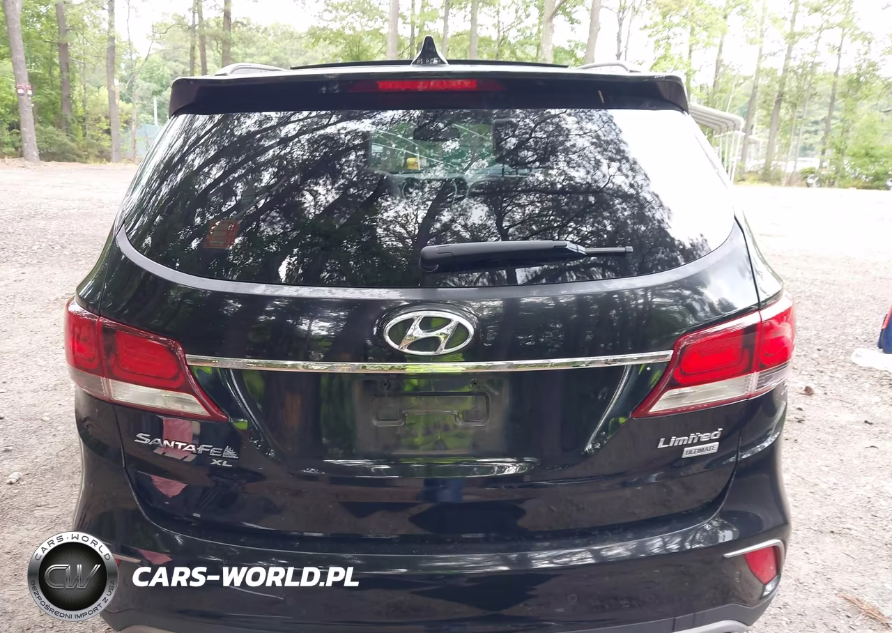2019 Hyundai Santa Fe Xl Limited Ultimate VIN:KM8SR4HF1KU302693 - 17