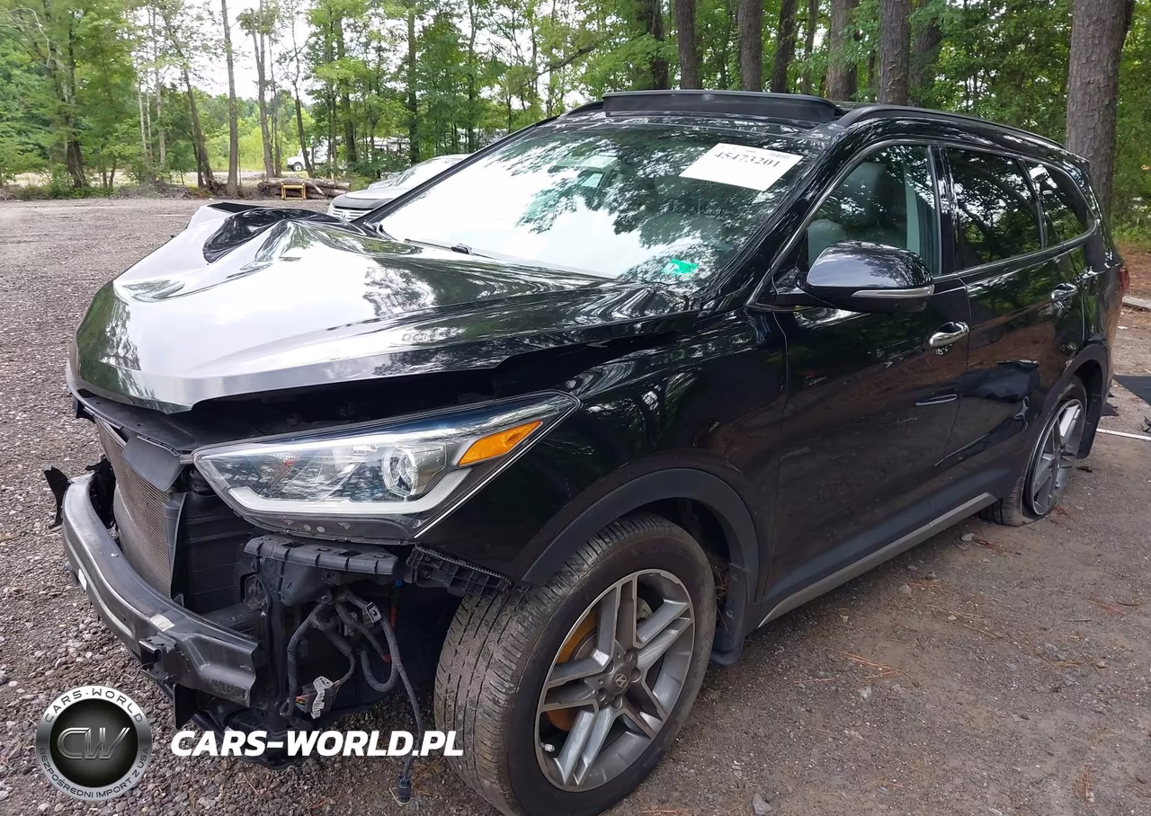 2019 Hyundai Santa Fe Xl Limited Ultimate VIN:KM8SR4HF1KU302693 - 2