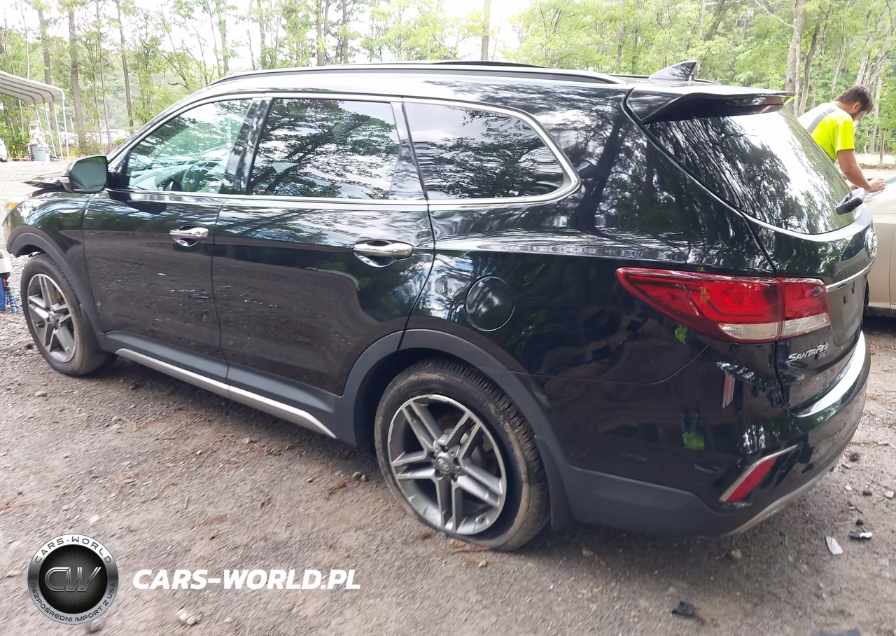 2019 Hyundai Santa Fe Xl Limited Ultimate VIN:KM8SR4HF1KU302693 - 3