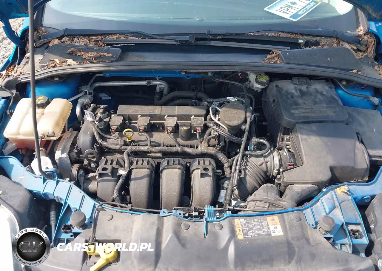 2014 Ford Focus Se VIN:1FADP3F27EL428215 - 10