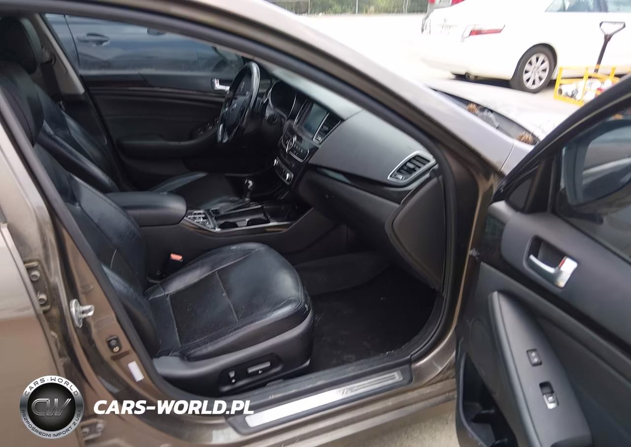 2014 Kia Cadenza Premium VIN:KNALN4D74E5129301 - 5