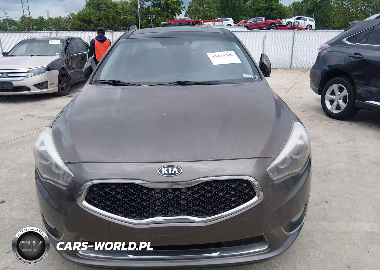 2014 Kia Cadenza Premium VIN:KNALN4D74E5129301 - 6