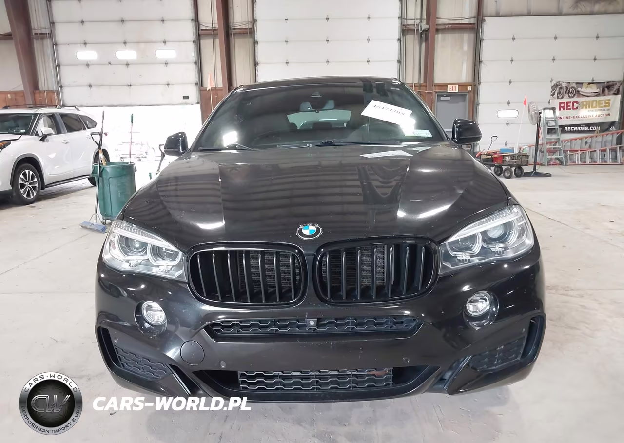 2019 BMW X6 xDrive35I VIN:5UXKU2C58K0Z64797 - 12