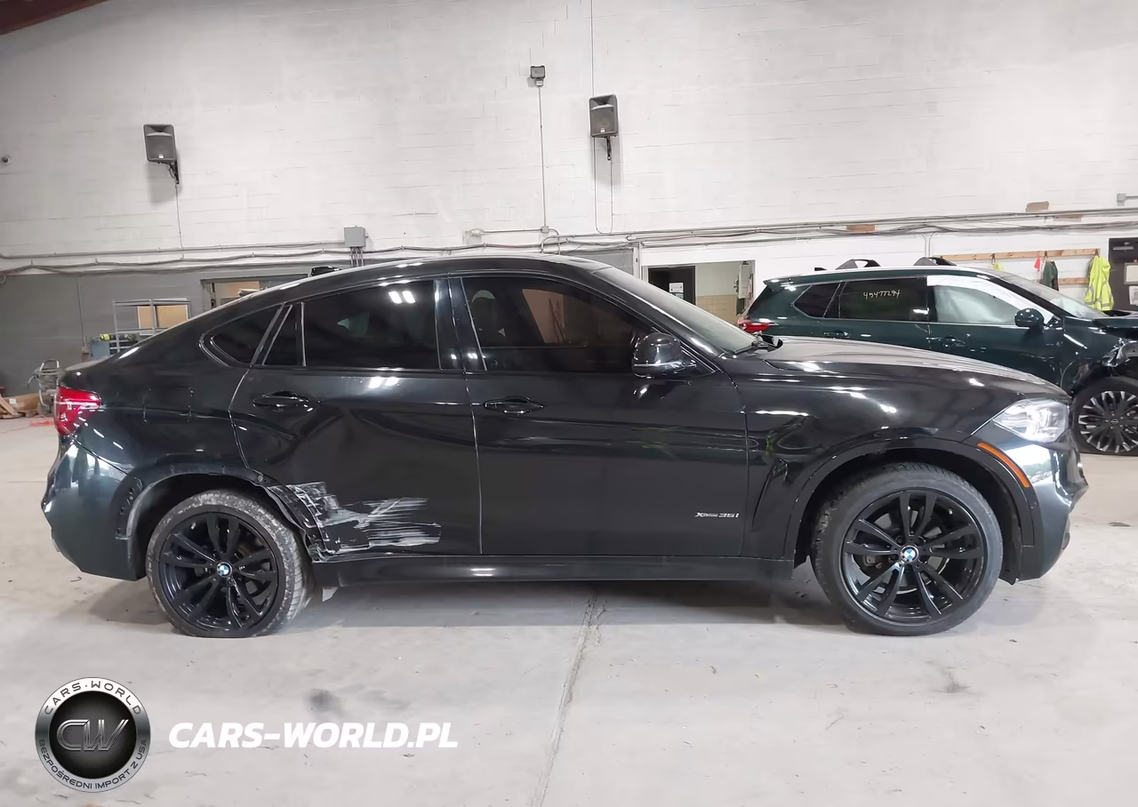 2019 BMW X6 xDrive35I VIN:5UXKU2C58K0Z64797 - 13