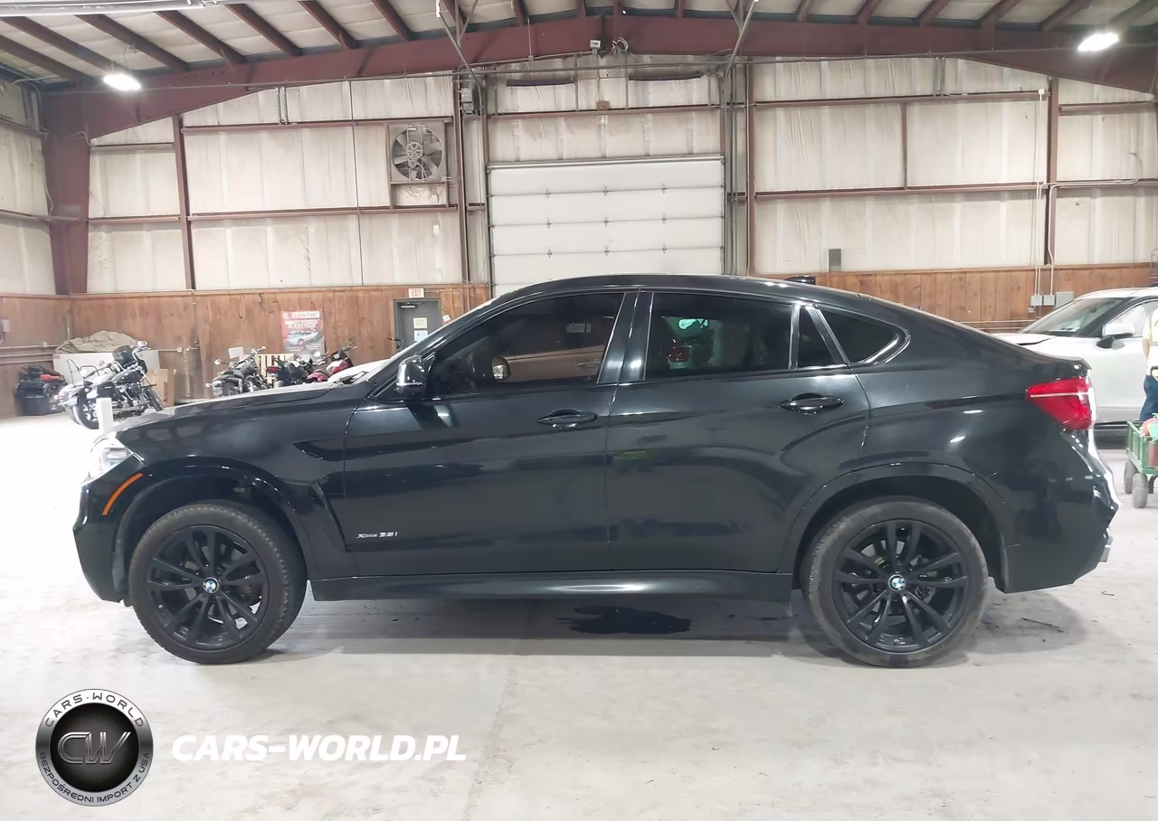 2019 BMW X6 xDrive35I VIN:5UXKU2C58K0Z64797 - 14