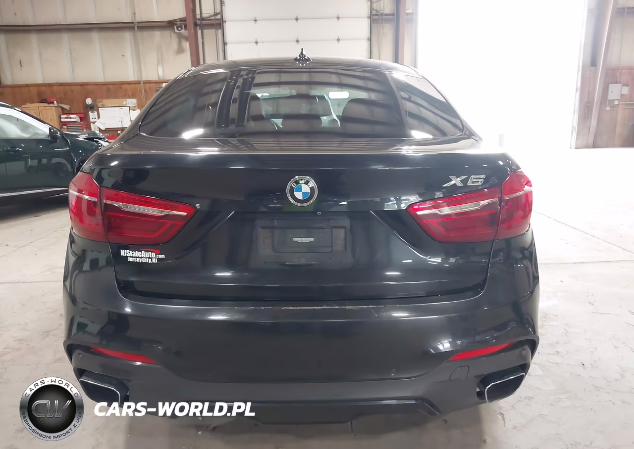 2019 BMW X6 xDrive35I VIN:5UXKU2C58K0Z64797 - 16