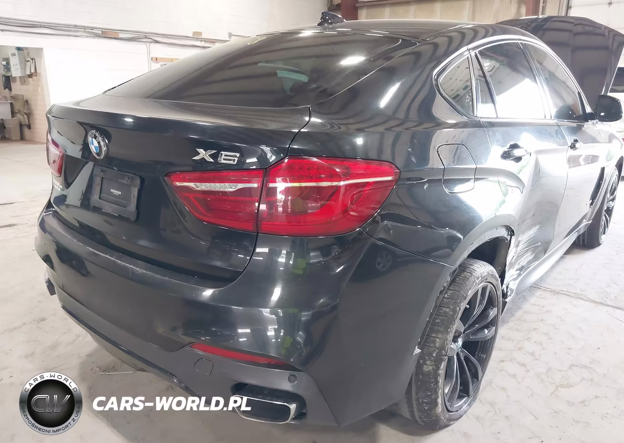 2019 BMW X6 xDrive35I VIN:5UXKU2C58K0Z64797 - 17