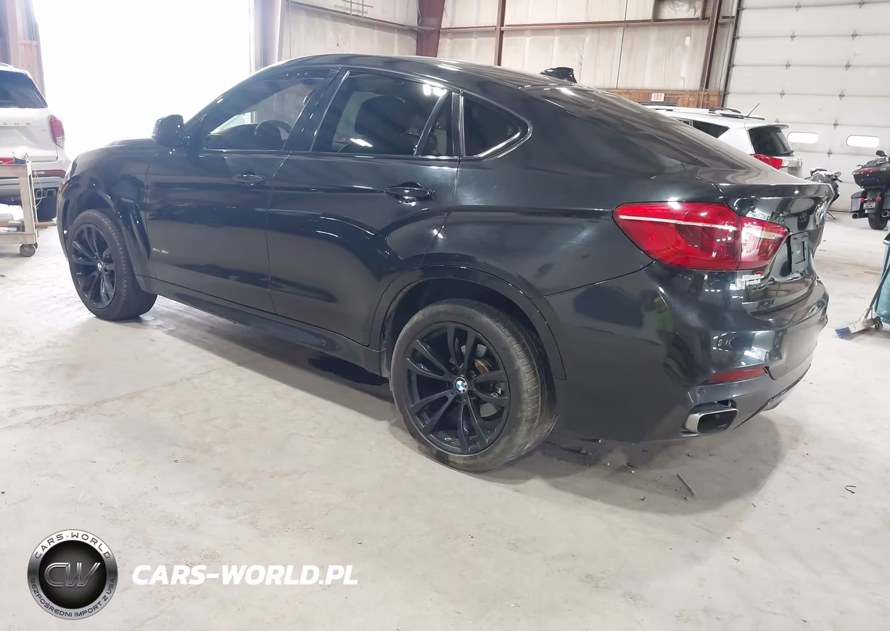 2019 BMW X6 xDrive35I VIN:5UXKU2C58K0Z64797 - 3