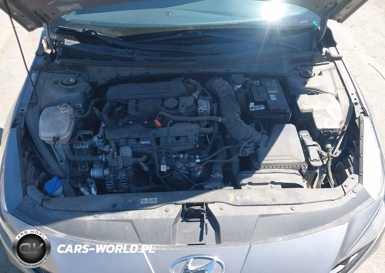 2021 Hyundai Elantra N Line VIN:KMHLR4AF0MU172634 - 10
