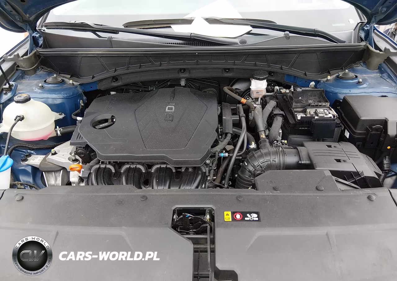2024 Hyundai Tucson Sel VIN:5NMJBCDE6RH341096 - 10