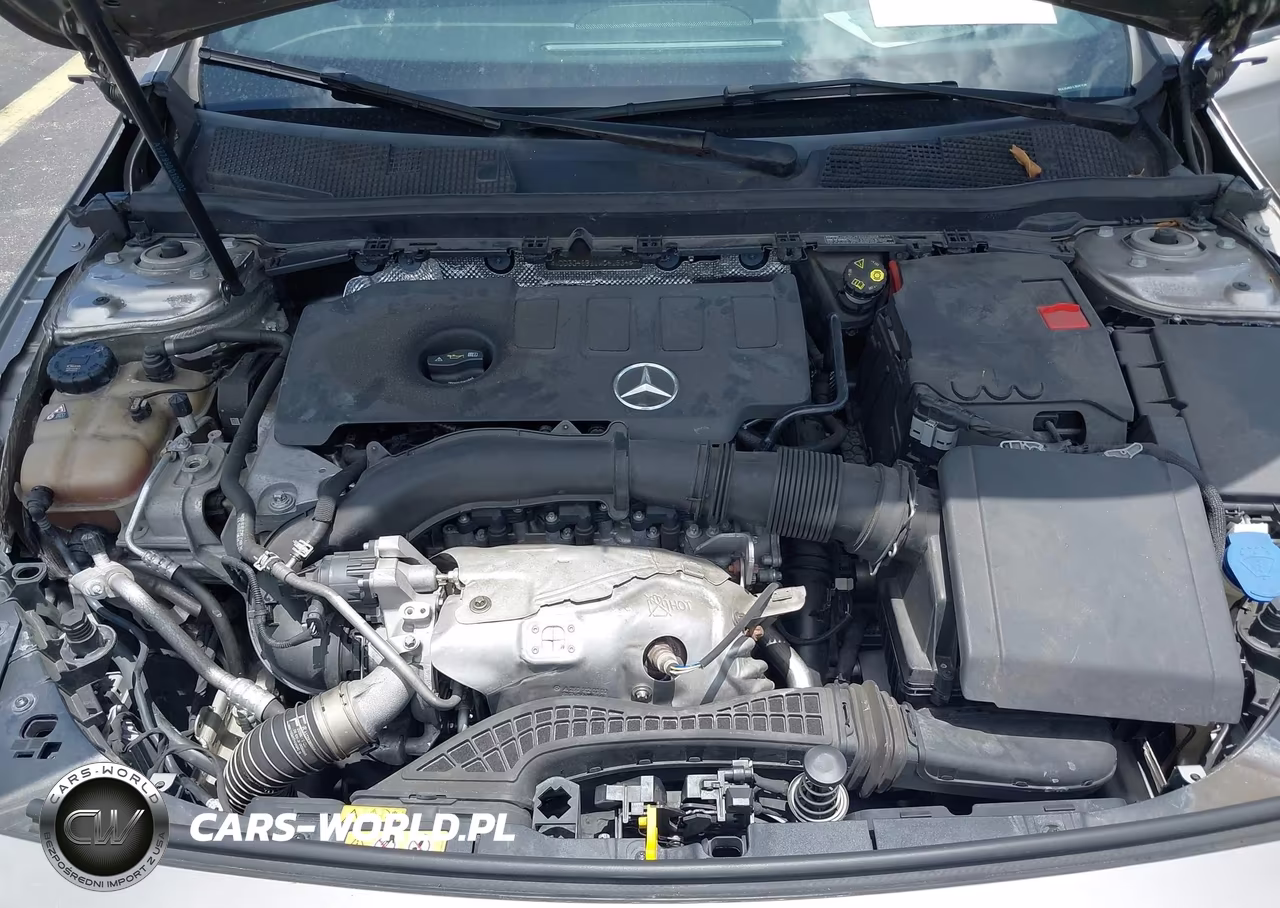 2020 Mercedes-Benz A 220 VIN:WDD3G4EB1LW041934 - 10