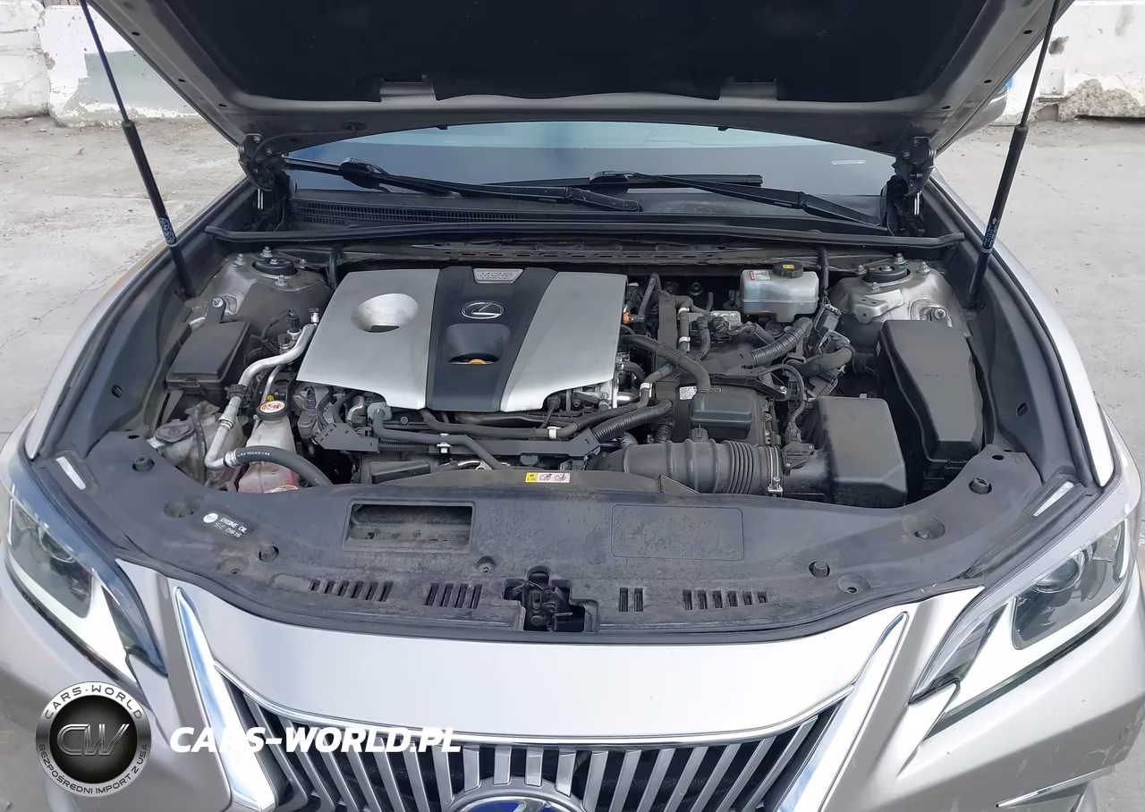 2020 Lexus Es 300H VIN:58AD21B1XLU009118 - 10
