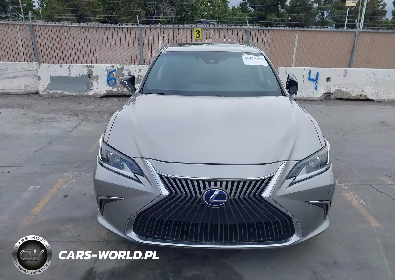 2020 Lexus Es 300H VIN:58AD21B1XLU009118 - 13