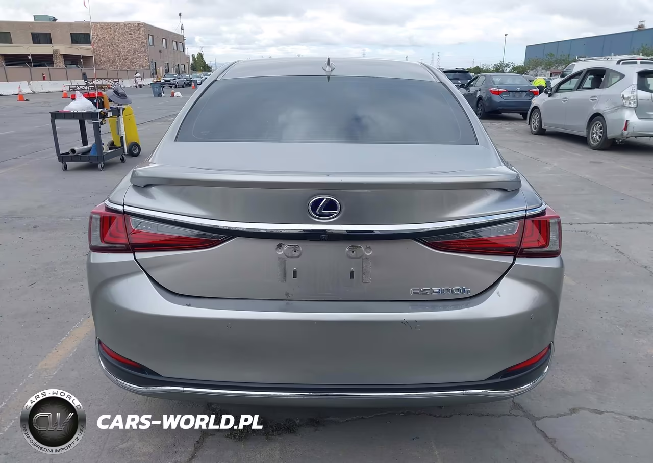 2020 Lexus Es 300H VIN:58AD21B1XLU009118 - 17