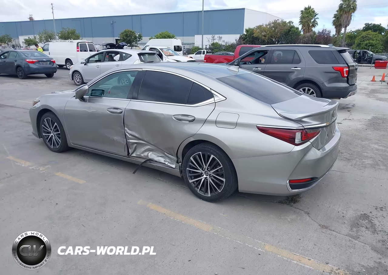 2020 Lexus Es 300H VIN:58AD21B1XLU009118 - 3