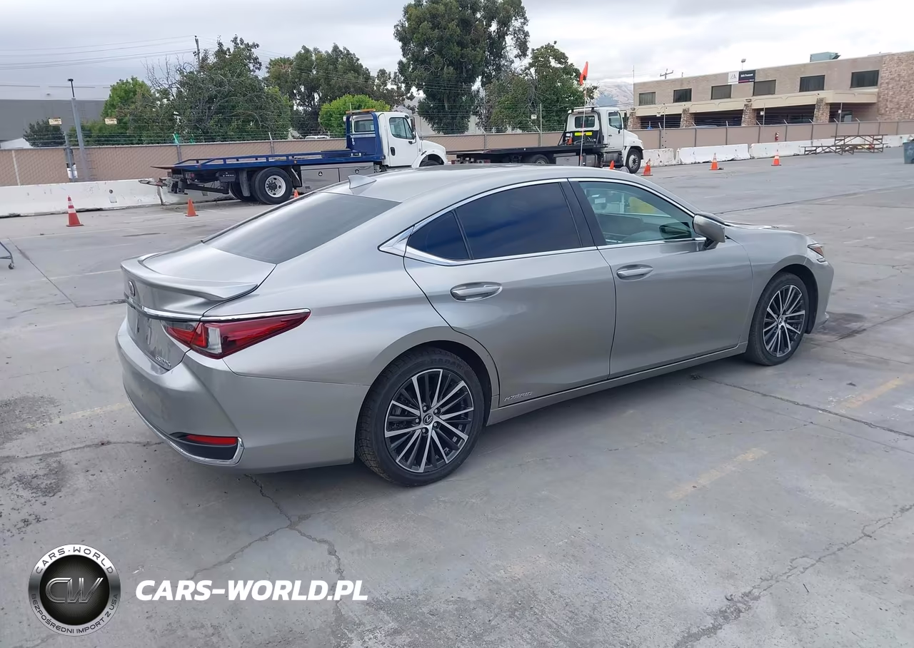 2020 Lexus Es 300H VIN:58AD21B1XLU009118 - 4