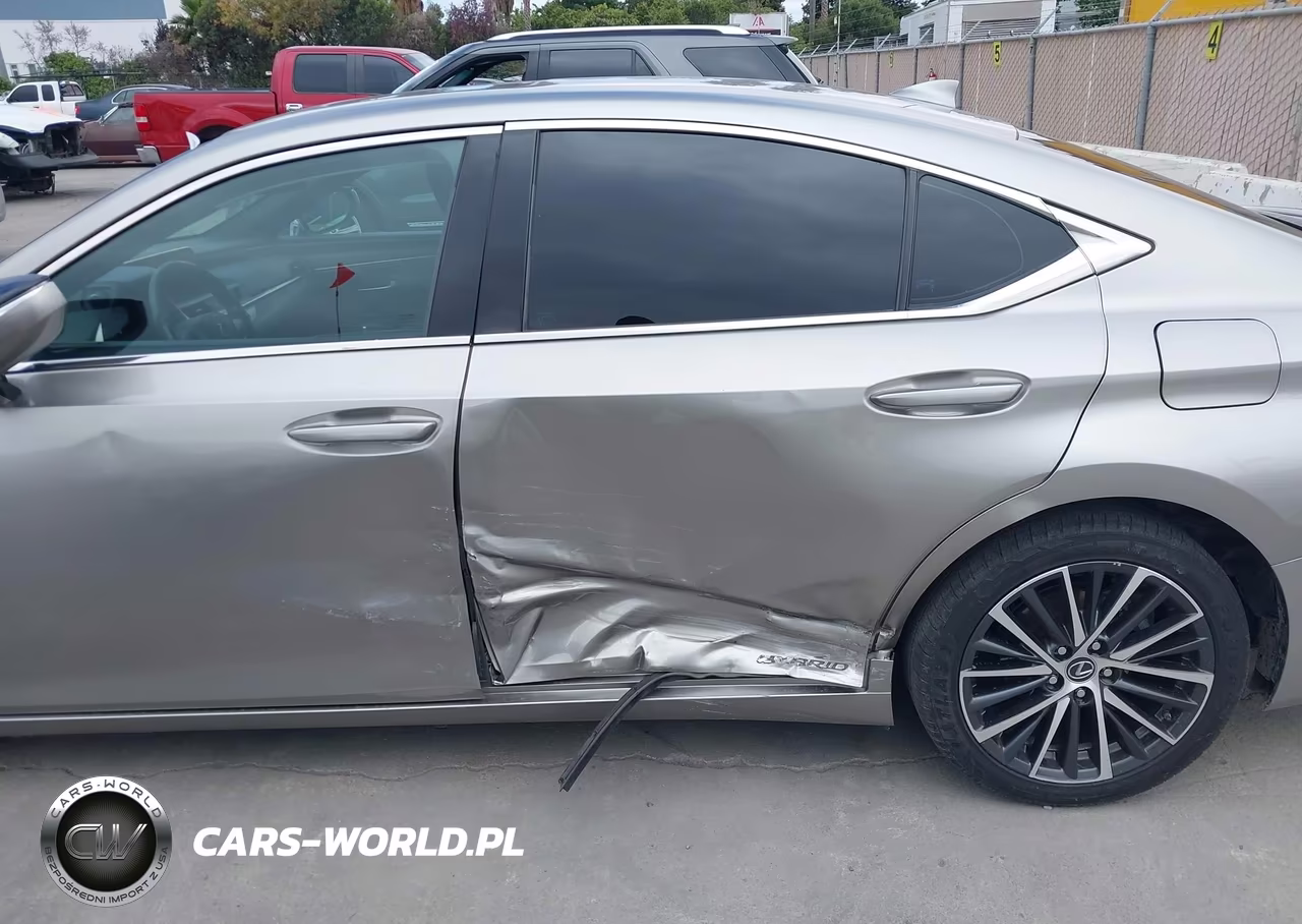 2020 Lexus Es 300H VIN:58AD21B1XLU009118 - 6