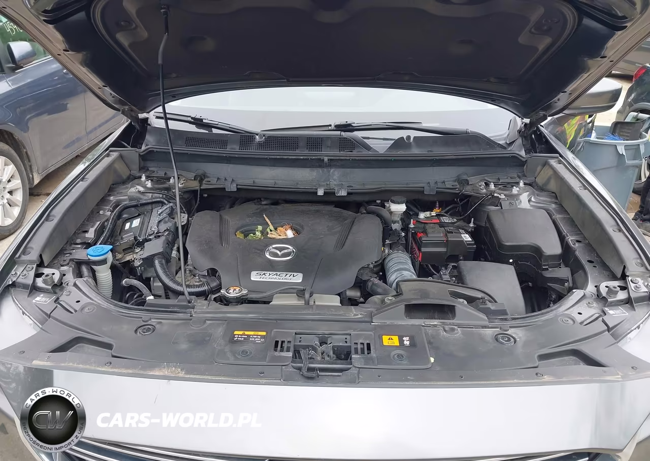 2019 Mazda Cx-9 Touring VIN:JM3TCBCY2K0314776 - 10