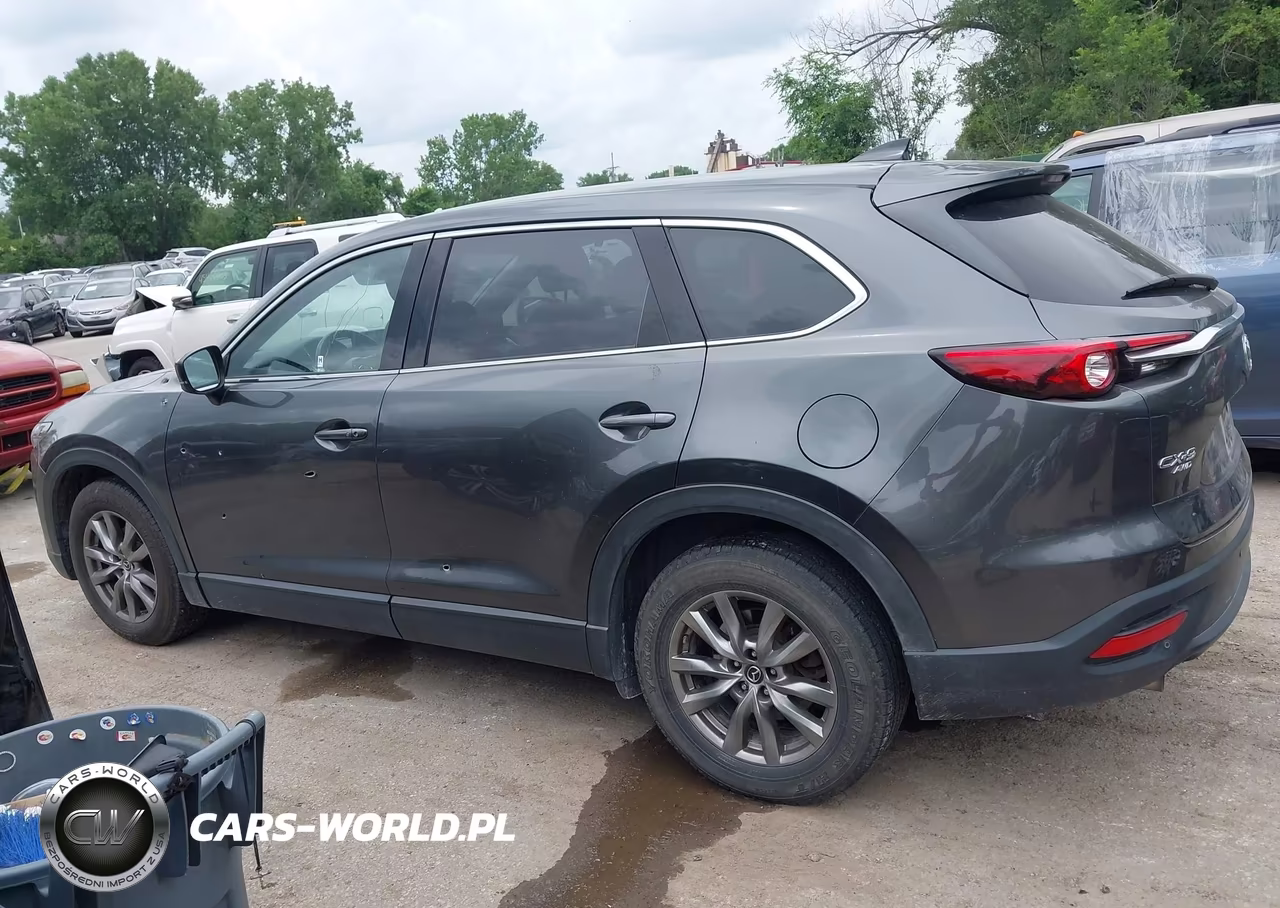 2019 Mazda Cx-9 Touring VIN:JM3TCBCY2K0314776 - 15