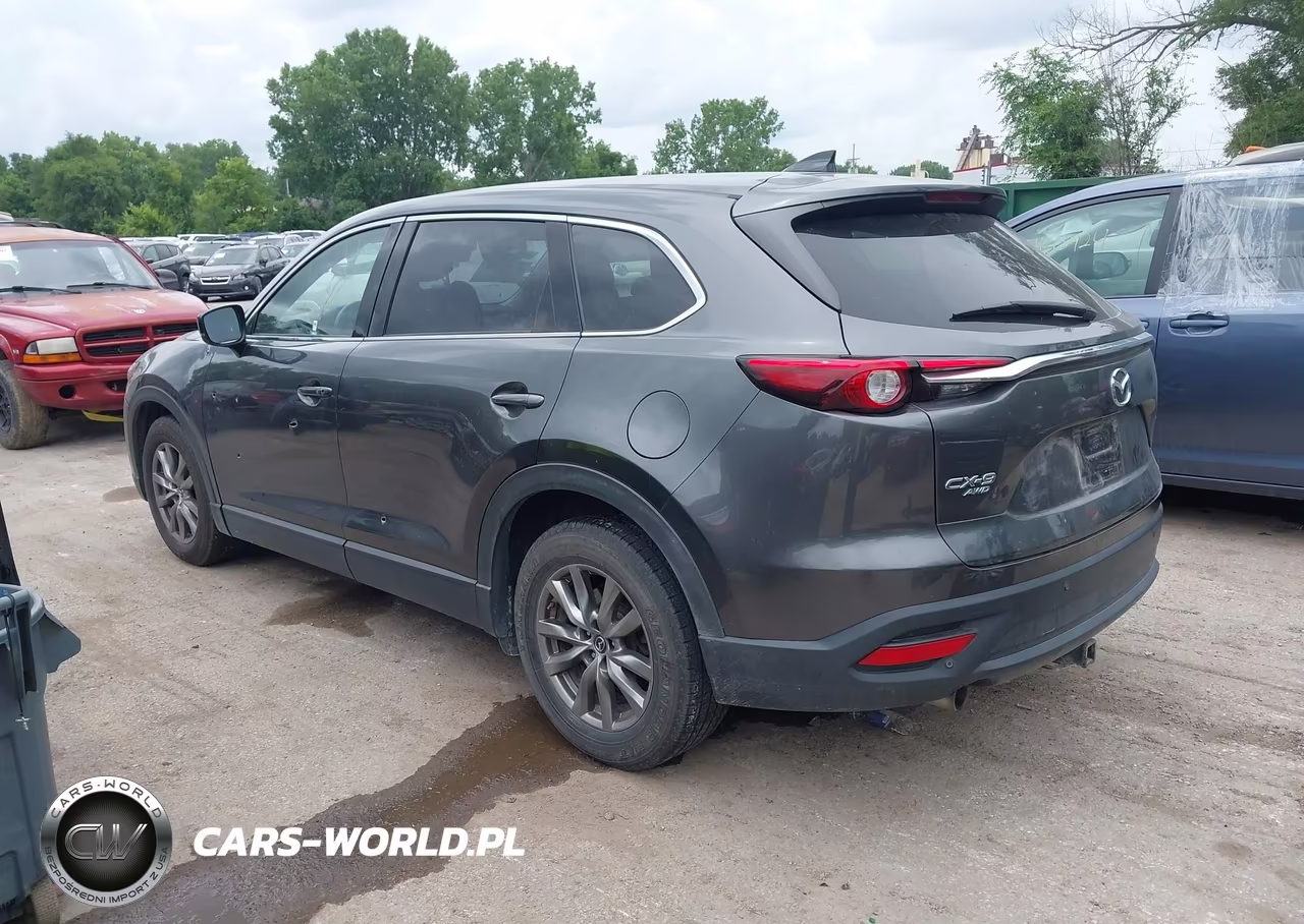 2019 Mazda Cx-9 Touring VIN:JM3TCBCY2K0314776 - 3