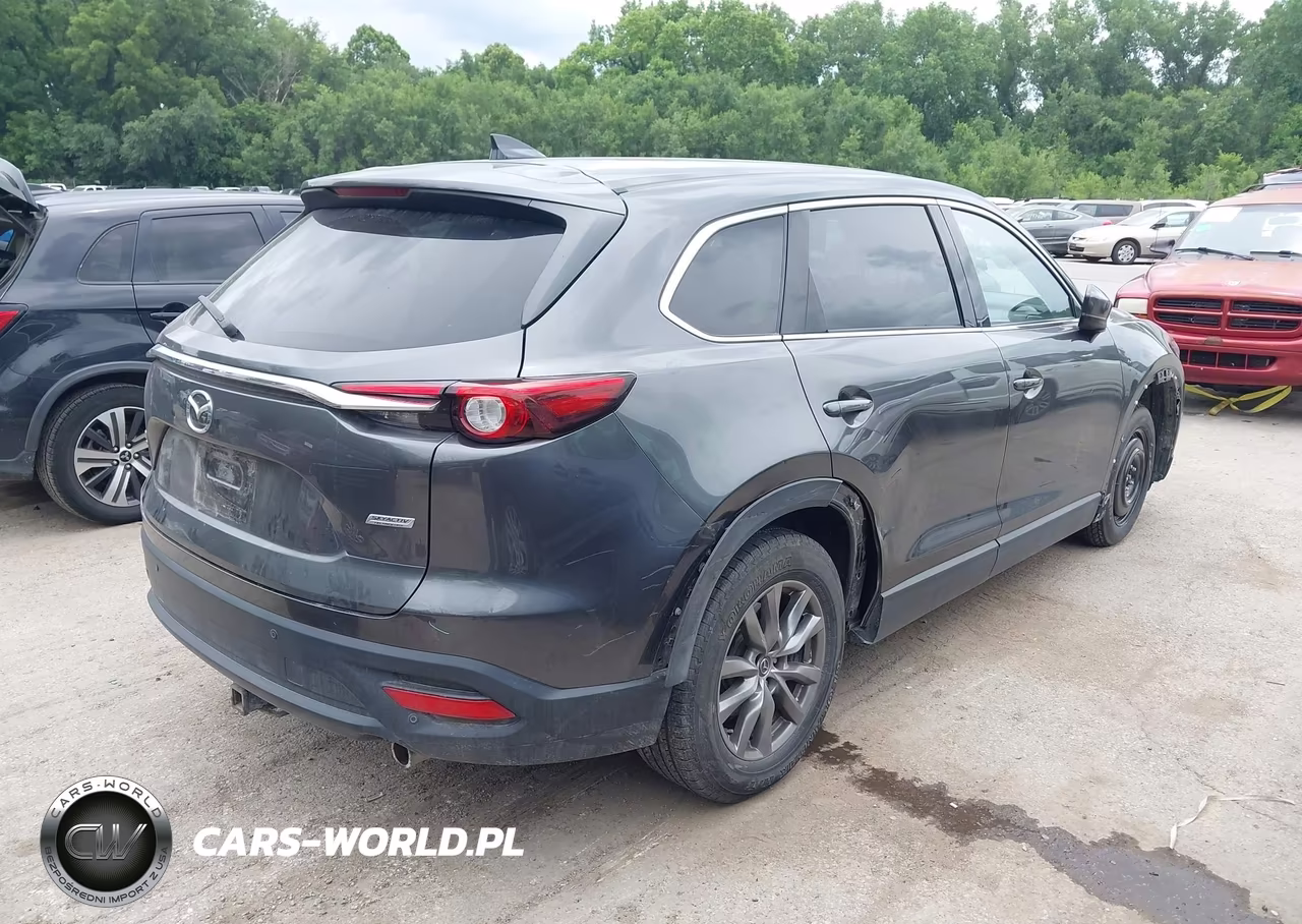 2019 Mazda Cx-9 Touring VIN:JM3TCBCY2K0314776 - 4