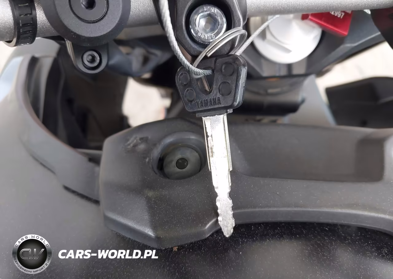 2019 Yamaha Mt09 VIN:JYARN53E4KA005000 - 11