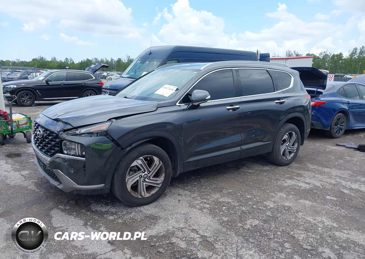 2023 Hyundai Santa Fe Sel VIN:5NMS2DAJ8PH650951 - 2