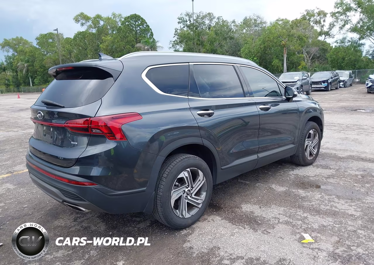 2023 Hyundai Santa Fe Sel VIN:5NMS2DAJ8PH650951 - 4