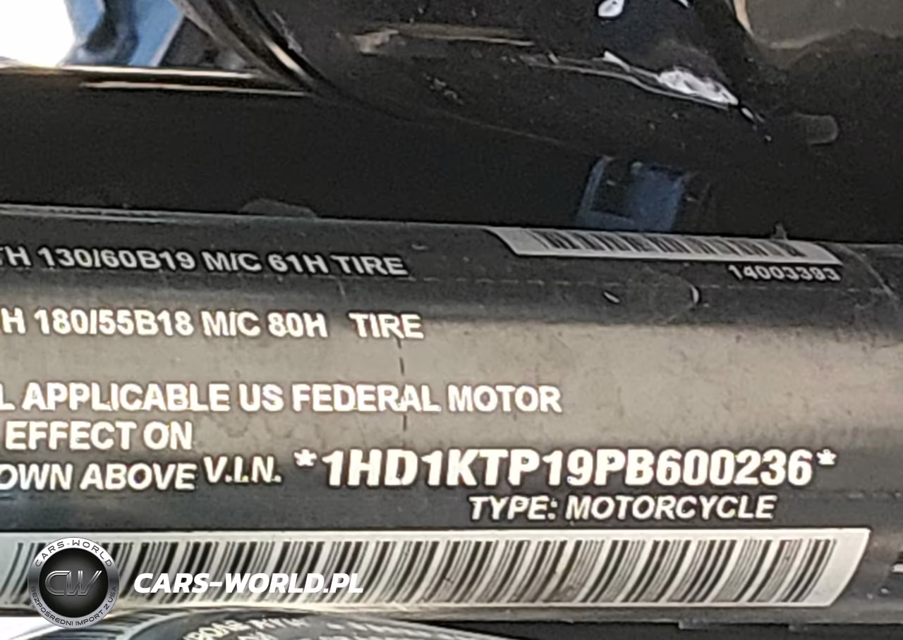 2023 Harley-Davidson Fltrxs VIN:1HD1KTP19PB600236 - 10