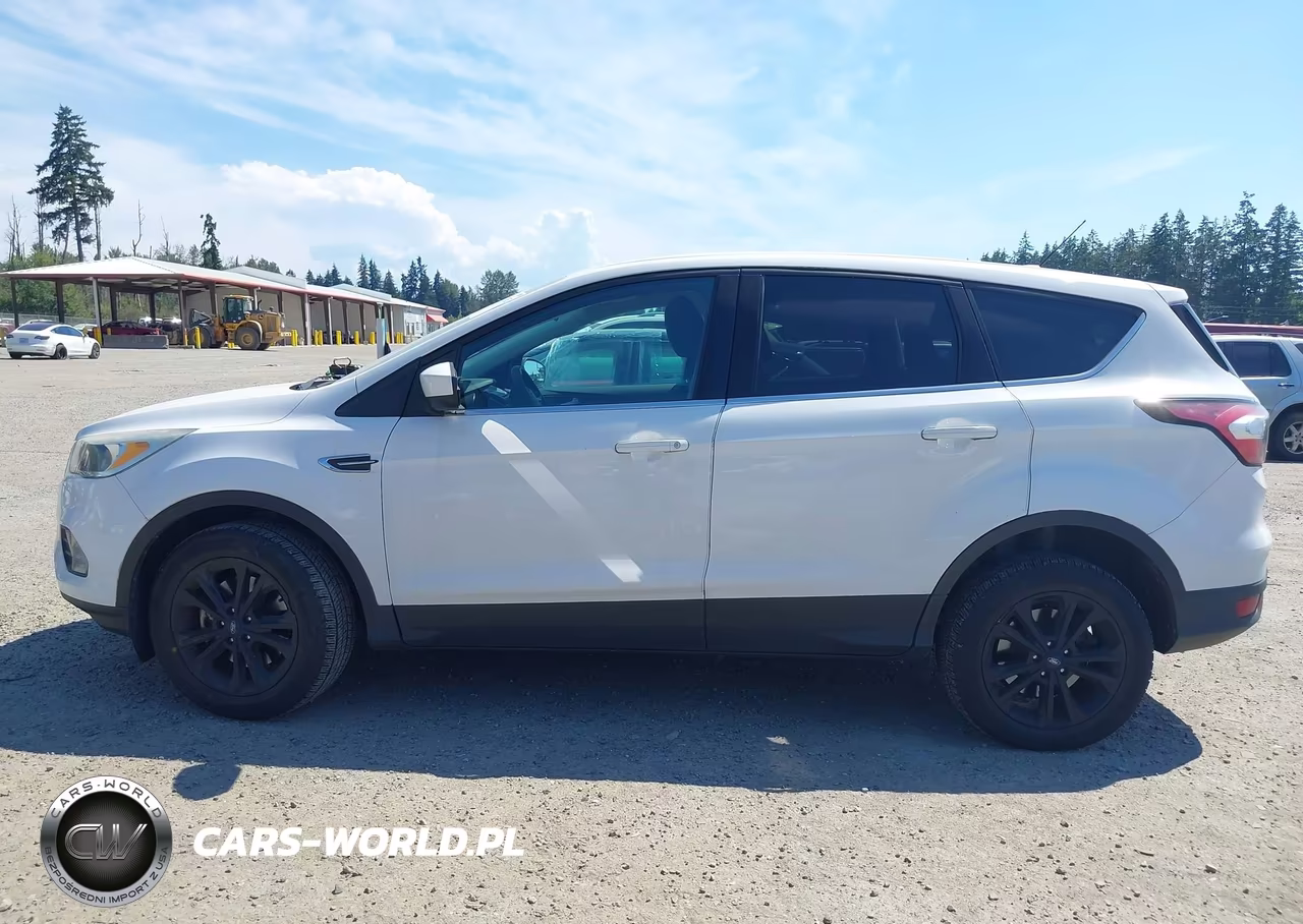 2017 Ford Escape Se VIN:1FMCU9G9XHUC27464 - 14