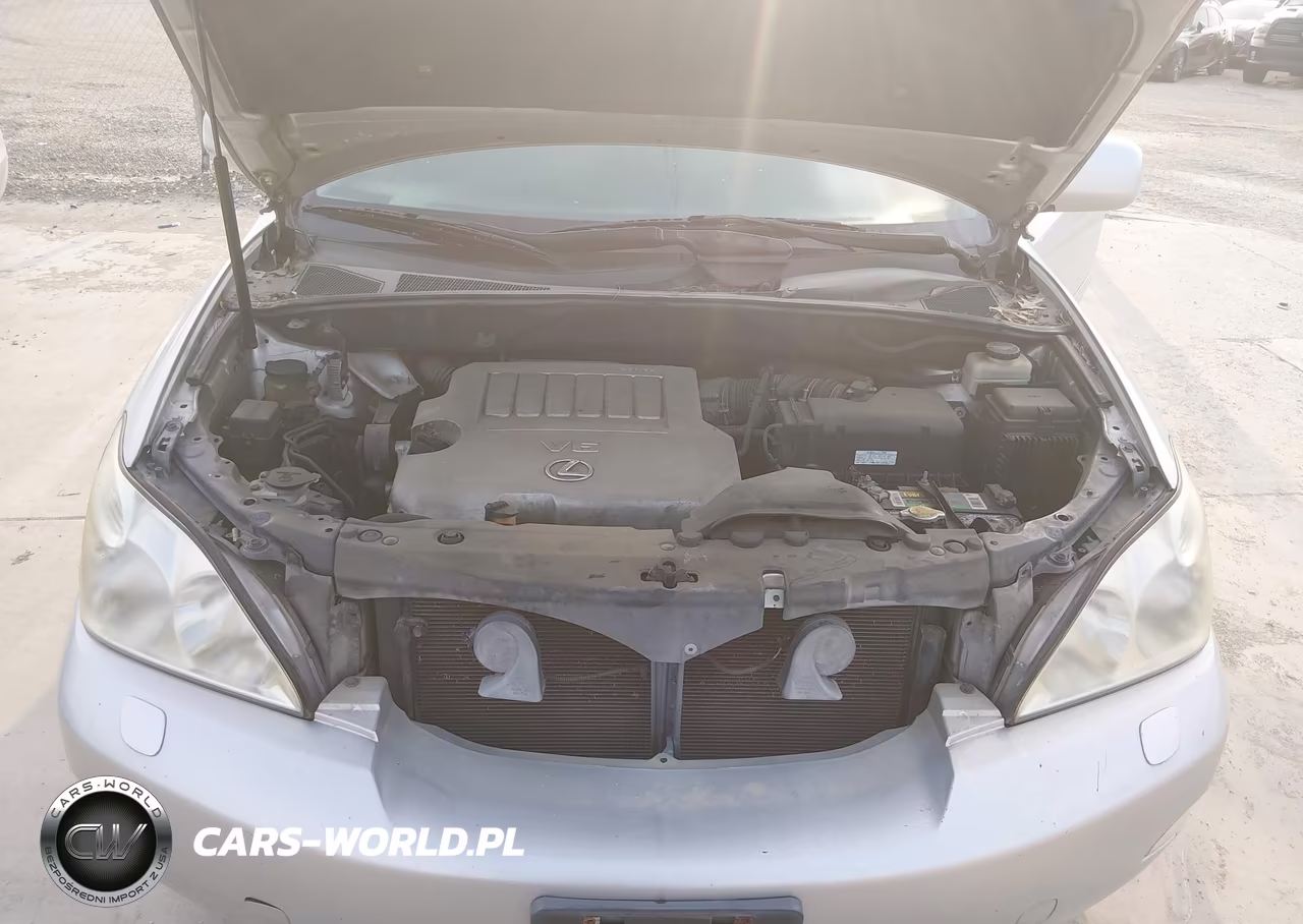 2007 Lexus Rx 350 VIN:2T2GK31U77C008815 - 10