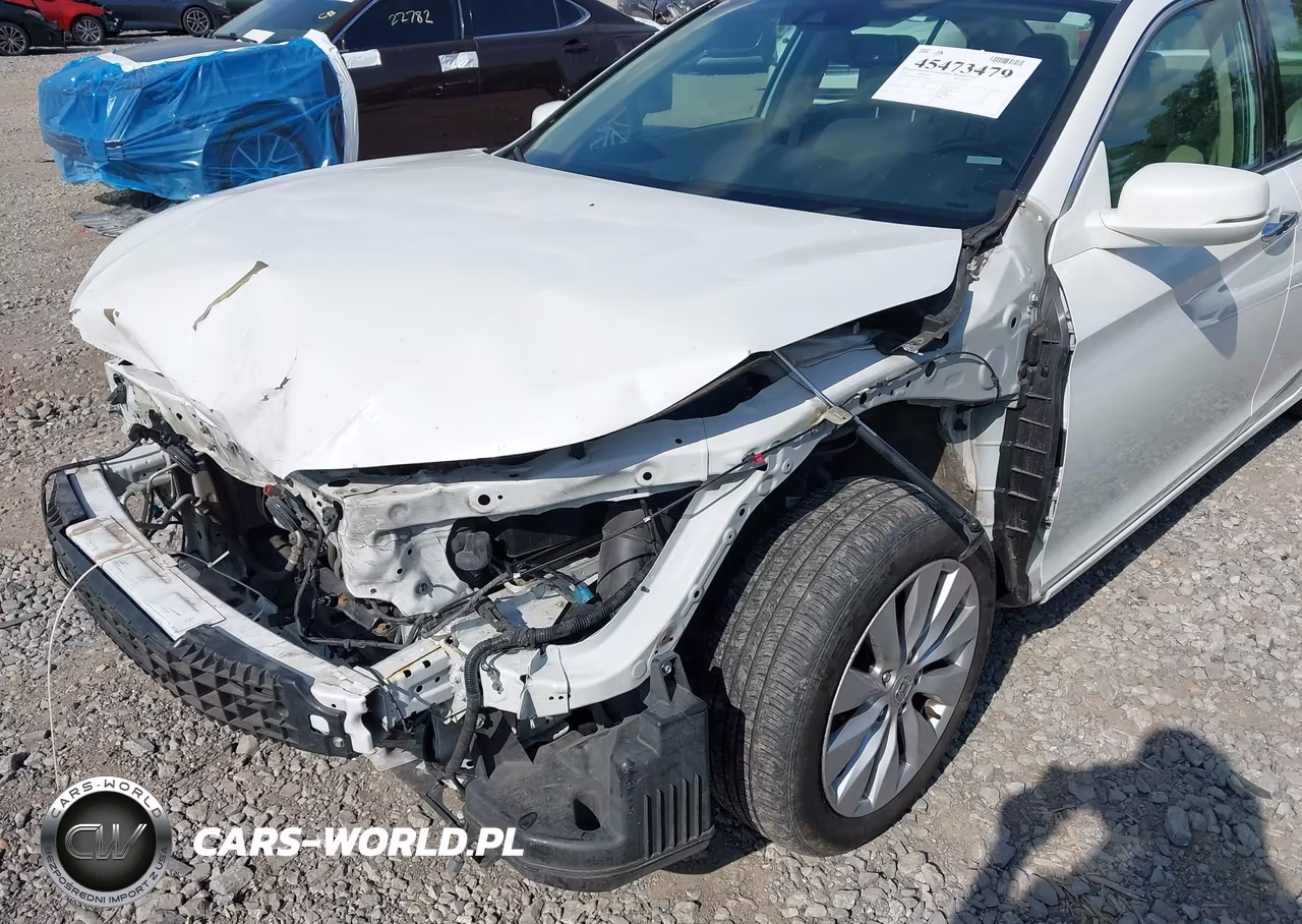 2014 Honda Accord Ex-L V-6 VIN:1HGCR3F8XEA036458 - 19