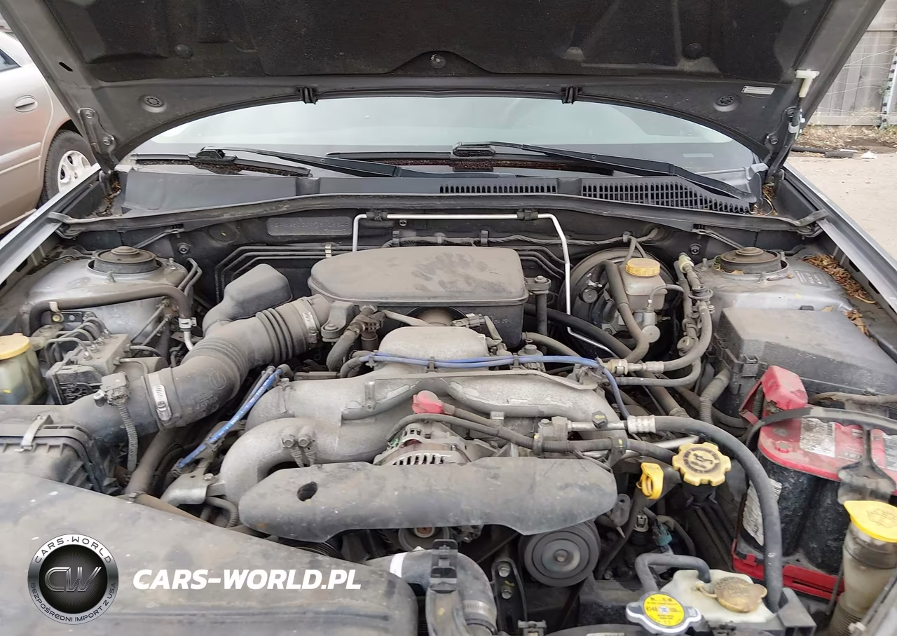 2009 Subaru Outback 2.5I VIN:4S4BP61C197310934 - 10