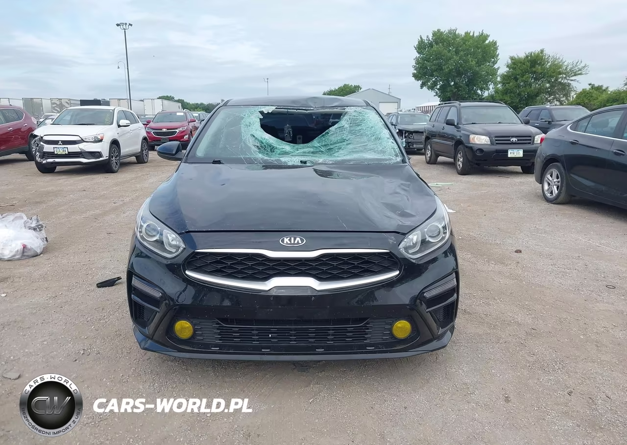 2020 Kia Forte Lxs VIN:3KPF24AD6LE248861 - 13