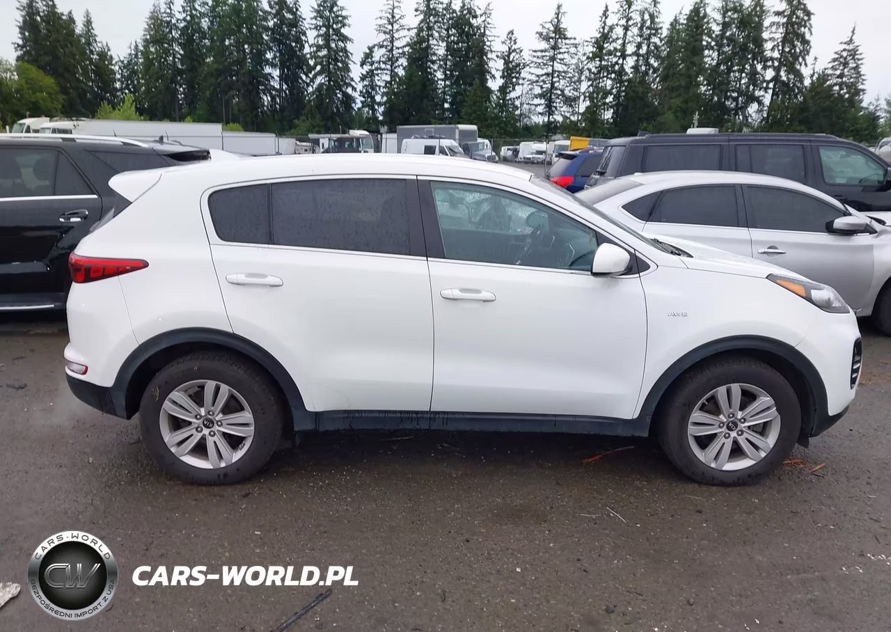 2018 Kia Sportage Lx VIN:KNDPMCAC1J7379631 - 13