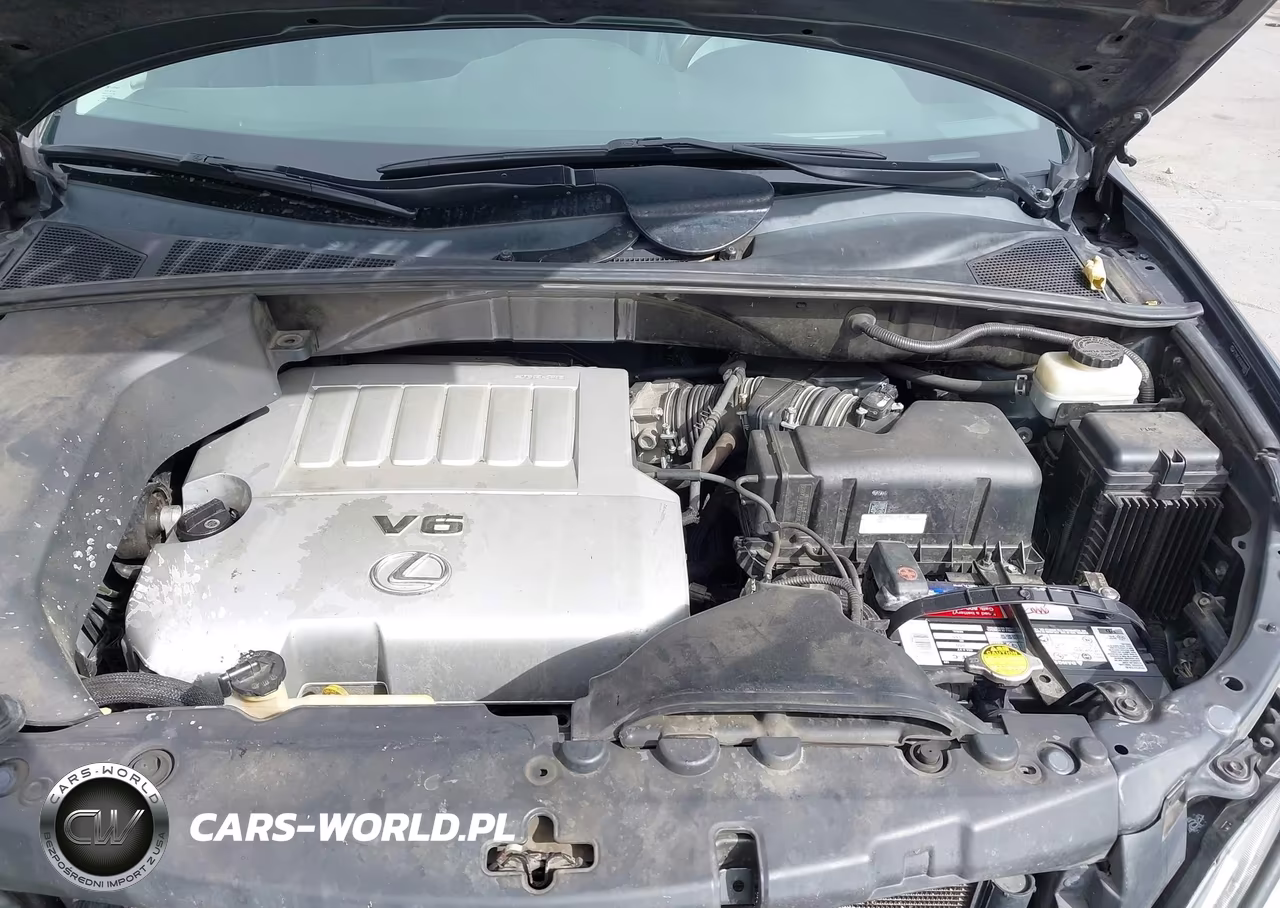 2009 Lexus Rx 350 VIN:2T2HK31U59C098893 - 10