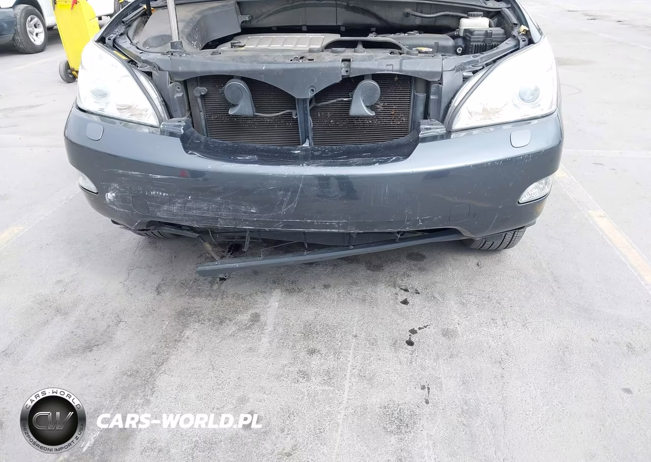 2009 Lexus Rx 350 VIN:2T2HK31U59C098893 - 6