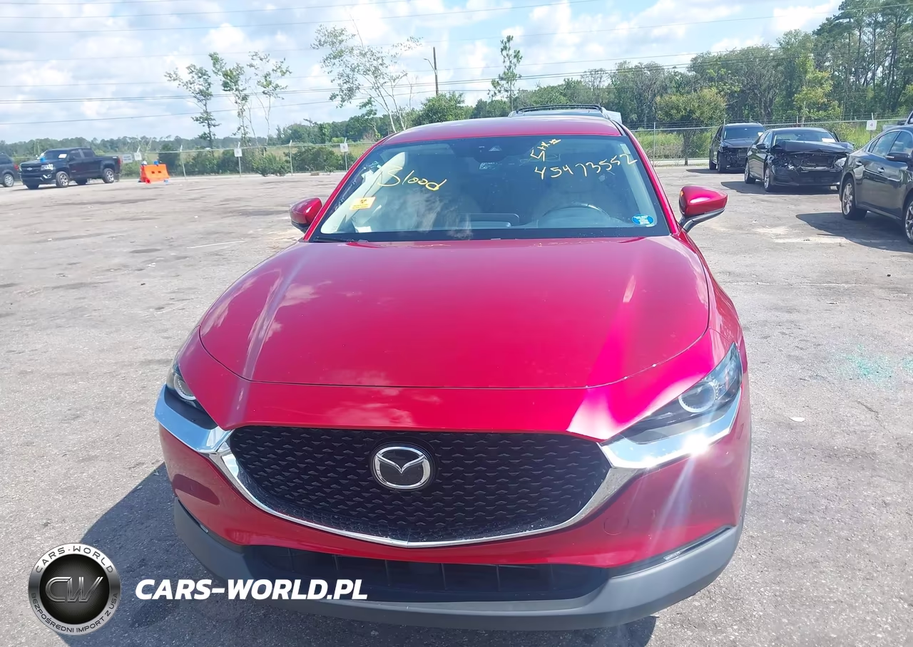 2020 Mazda Cx-30 Preferred Package VIN:3MVDMADL6LM137802 - 11
