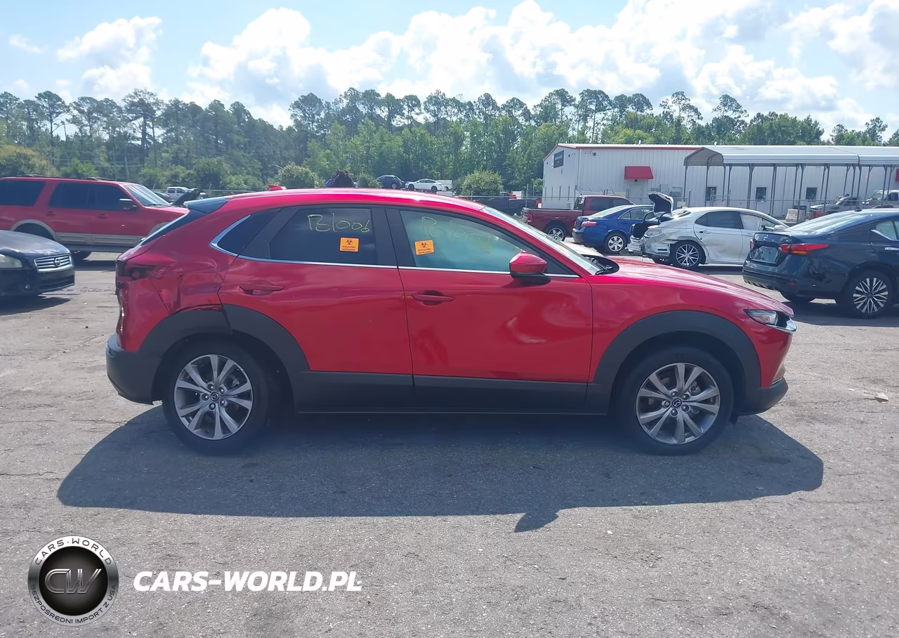 2020 Mazda Cx-30 Preferred Package VIN:3MVDMADL6LM137802 - 12
