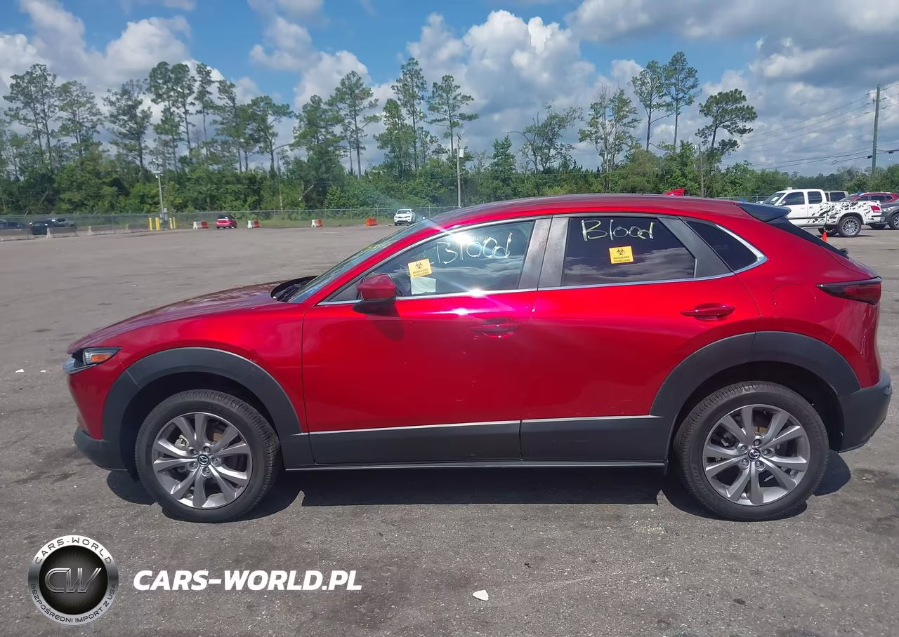 2020 Mazda Cx-30 Preferred Package VIN:3MVDMADL6LM137802 - 13
