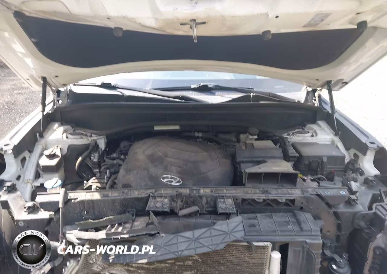2020 Hyundai Palisade Limited VIN:KM8R54HE8LU149877 - 10