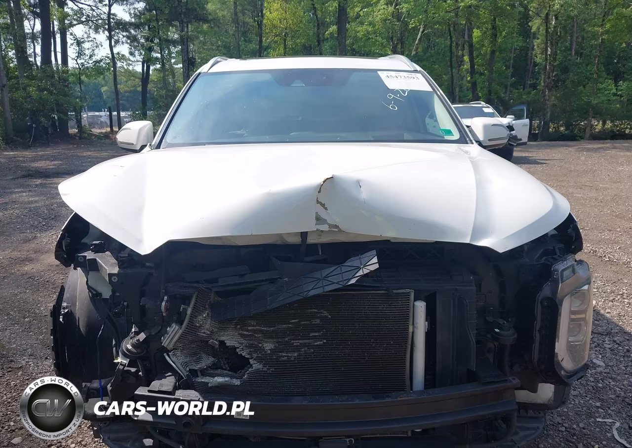 2020 Hyundai Palisade Limited VIN:KM8R54HE8LU149877 - 13